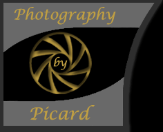Photography by Picard - Connecticut Wedding Photographer