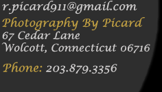 Photography by Picard - Connecticut Wedding Photographer